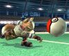 Super Smash Bros Brawl - 14